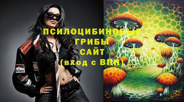 мдпв Пересвет