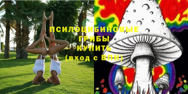 винт Липки